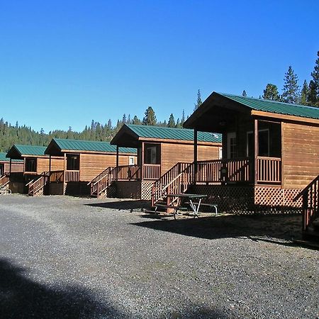 Yosemite Lakes Cabin 40 Harden Flat Ngoại thất bức ảnh
