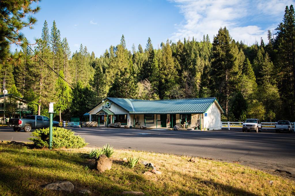 Yosemite Lakes Cabin 40 Harden Flat Ngoại thất bức ảnh