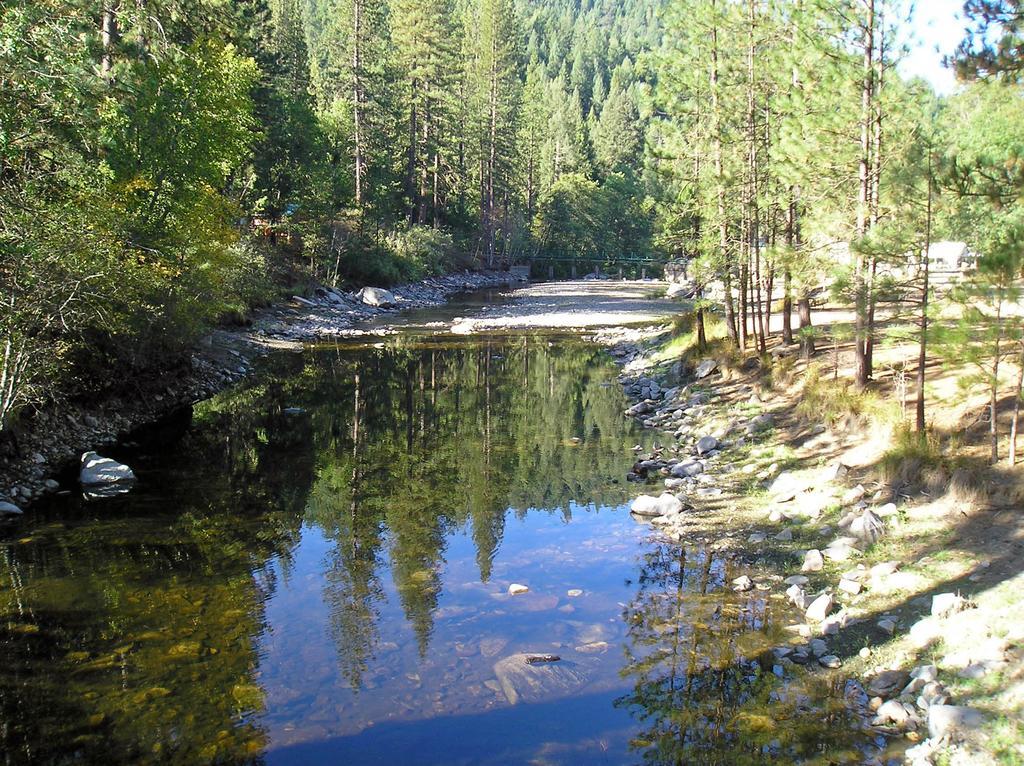 Yosemite Lakes Cabin 40 Harden Flat Ngoại thất bức ảnh