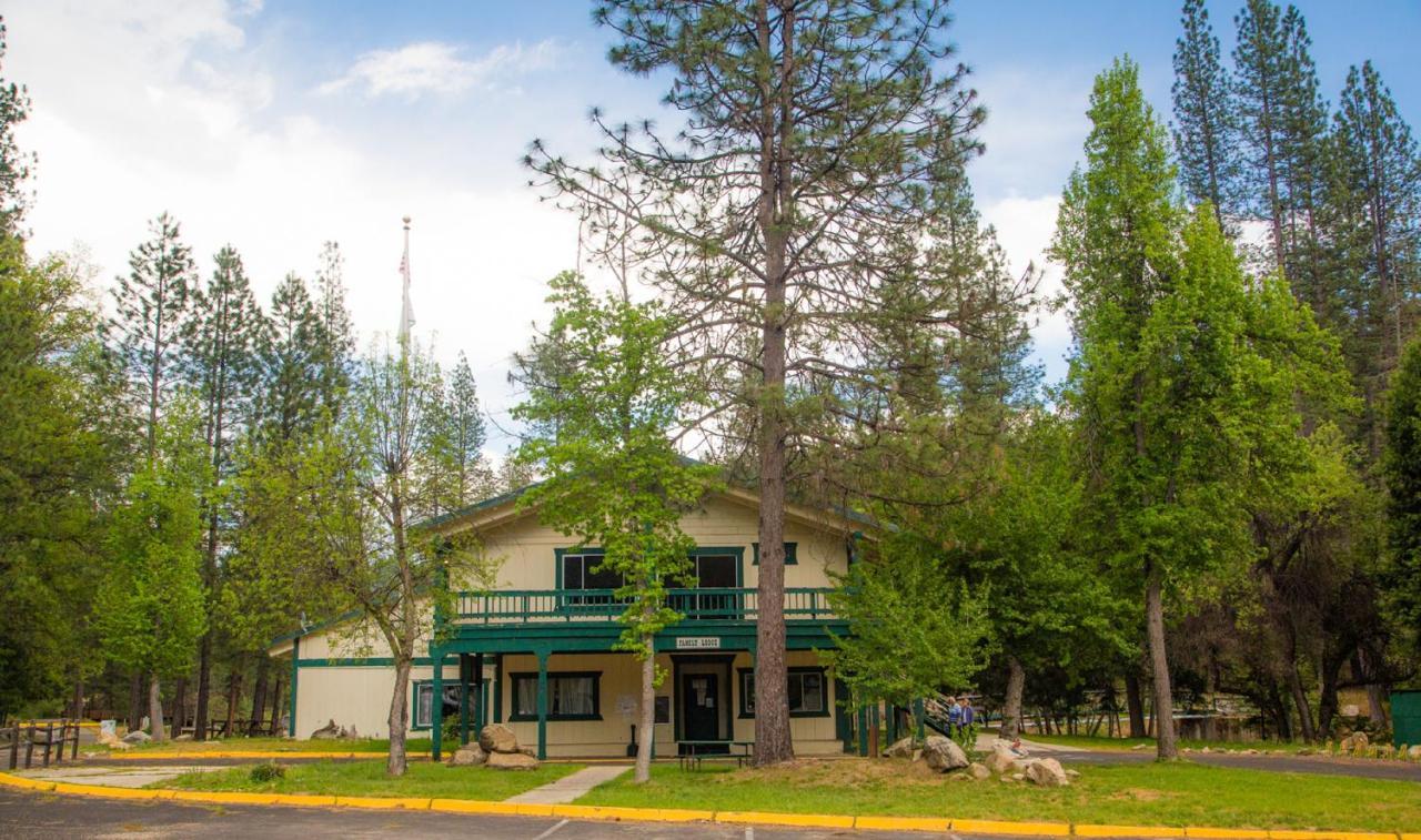 Yosemite Lakes Cabin 40 Harden Flat Ngoại thất bức ảnh